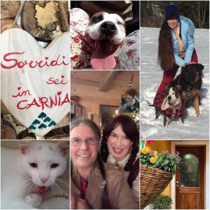 Holiday Guesthouse La Casina Di Butzi Pet Friendly - Terme Di Arta - Zoncolan Arta Terme Bagian luar foto