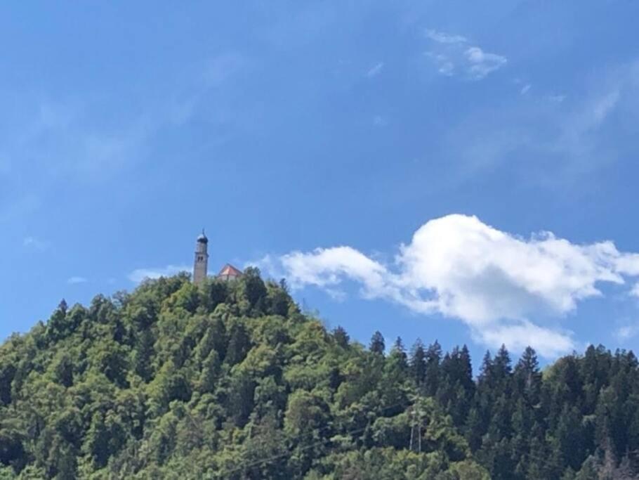 Holiday Guesthouse La Casina Di Butzi Pet Friendly - Terme Di Arta - Zoncolan Arta Terme Bagian luar foto