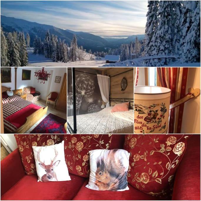 Holiday Guesthouse La Casina Di Butzi Pet Friendly - Terme Di Arta - Zoncolan Arta Terme Bagian luar foto
