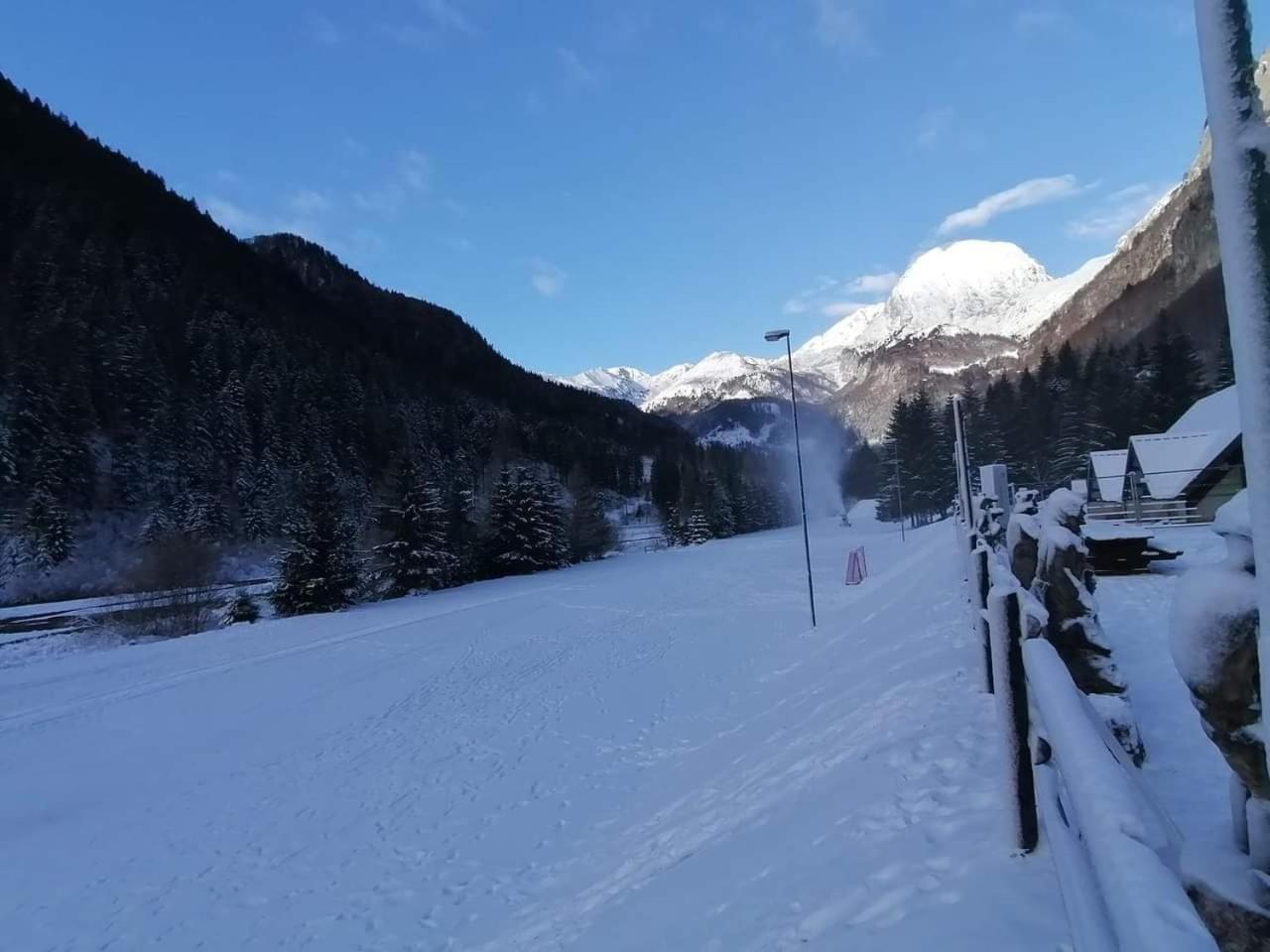 Holiday Guesthouse La Casina Di Butzi Pet Friendly - Terme Di Arta - Zoncolan Arta Terme Bagian luar foto