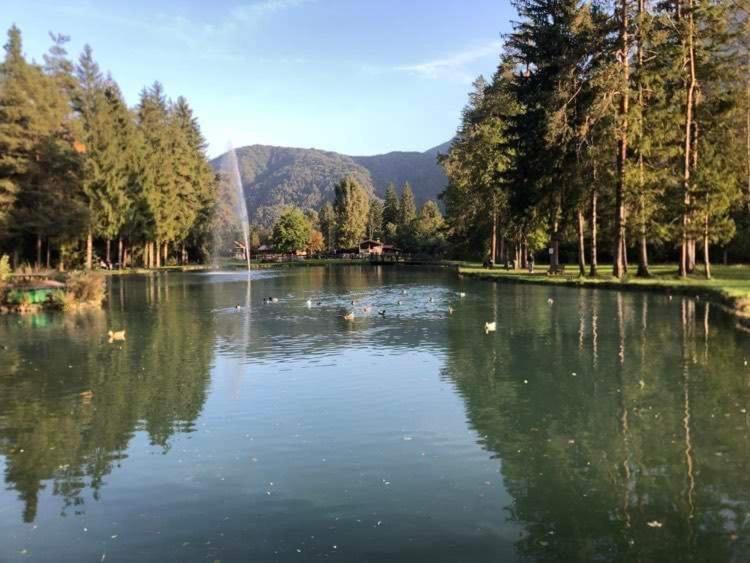 Holiday Guesthouse La Casina Di Butzi Pet Friendly - Terme Di Arta - Zoncolan Arta Terme Bagian luar foto